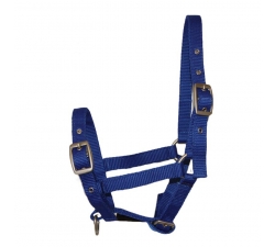 Licol nylon FOAL Impérial riding