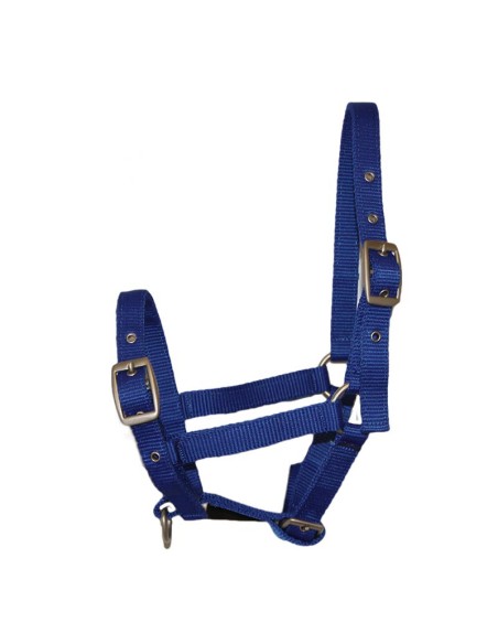 Licol nylon FOAL Impérial riding Bleu roi