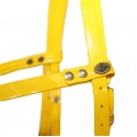 Side Pull biothane jaune