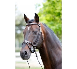 Bridon cuir et strass Tattini Eco Friendly