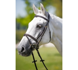 Bridon cuir Daslo Tattini