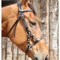 Side Pull biothane DMH-Equitation