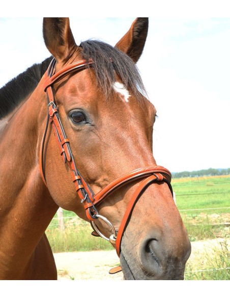 Bridon London fancy DMH  Equitation Majestic