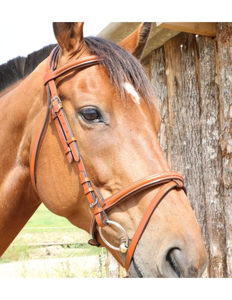 Bridon London fancy DMH  Equitation Majestic