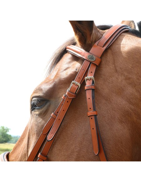 Bridon London fancy DMH  Equitation Majestic