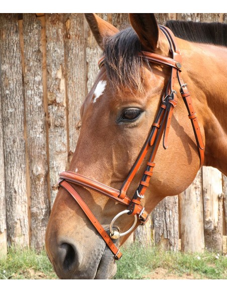 Bridon London fancy DMH  Equitation Majestic