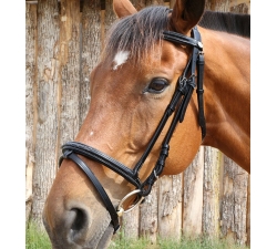 Bridon London fancy DMH  Equitation Majestic