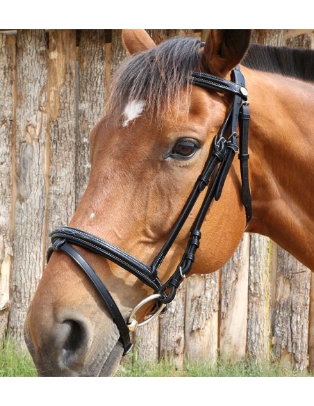 Bridon London fancy DMH  Equitation Majestic