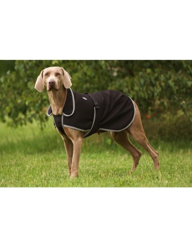 Couverture polaire Equi-Thème Stripe pour chien