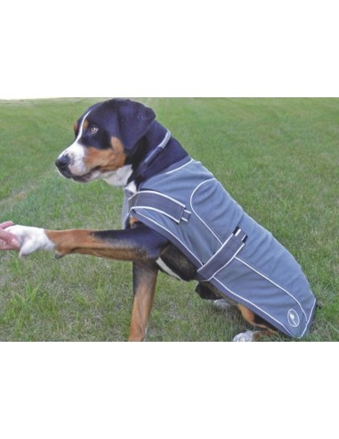 Couverture polaire Performance pour chien