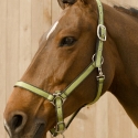 Bonnet anti-mouche Diamond Scapa Sport