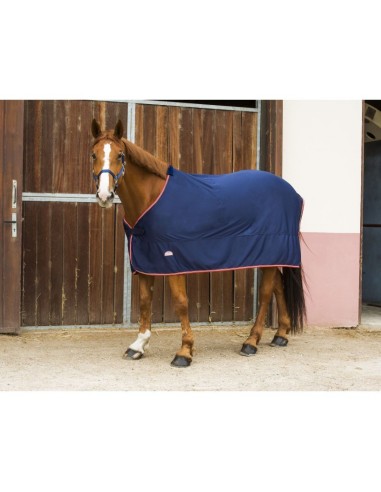 Chemise Equi-Theme Microfleece standard