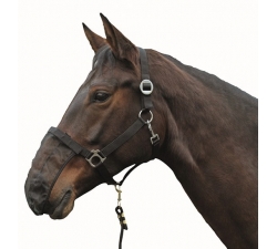 BONNET NASEAUX KIT DE 3