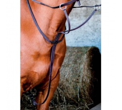 TdeT Martingale cuir Marron