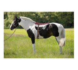 Tapis de monte à cru Norton