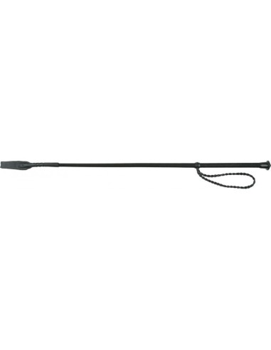 Cravache WHIP & GO Twist courte 53 cm Turquoise