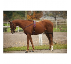 Enrênements à poulies Norton