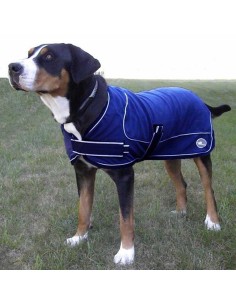 Couverture polaire Equi-Thème Stripe pour chien 2