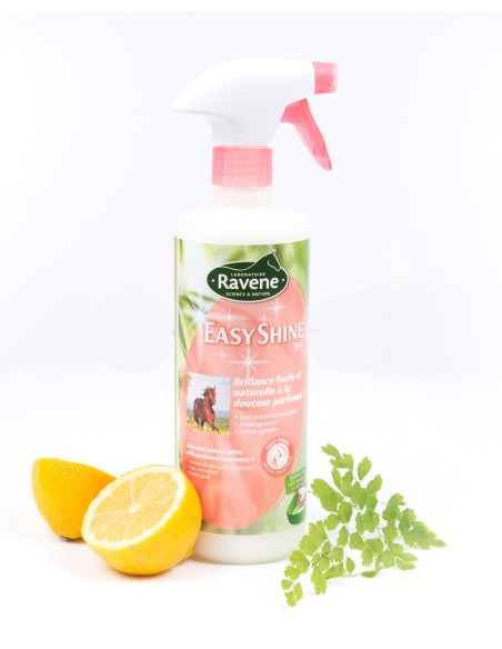 lustrant-easy-shine-de-ravene