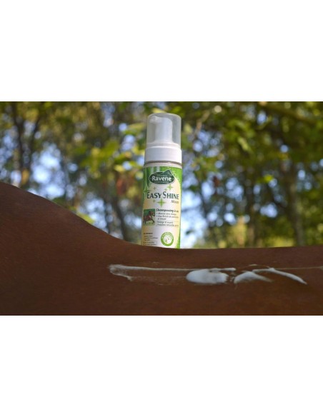 Ravene Shampoing Easy Shine