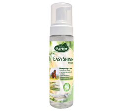Ravene Shampoing sec Easy Shine Mouss