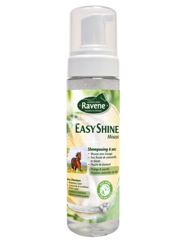 Ravene Shampoing sec Easy Shine Mouss
