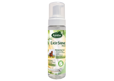 Ravene Shampoing sec Easy Shine Mouss