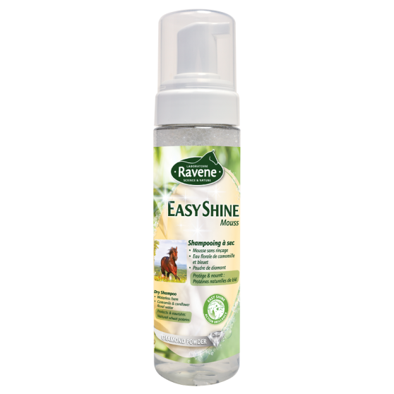 Ravene Shampoing sec Easy Shine Mouss