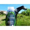 ravene-shampoing-easy-shine-grey