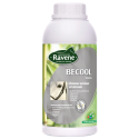 ravene-becool