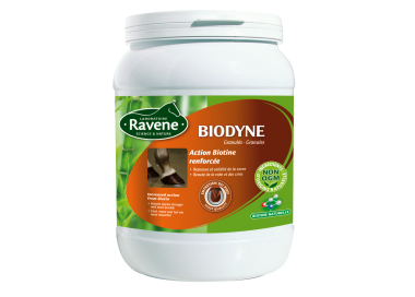 Ravene Biodyne biotine