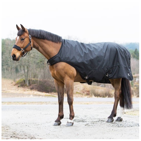 Chemise de marcheur Nevada par Horze