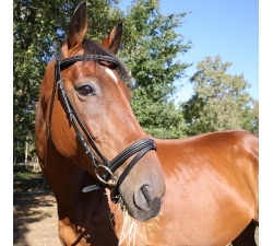 Bridon surpiqué DMH Equitation Noir