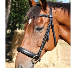 Bridon muserolle française DMH Equitation Noir