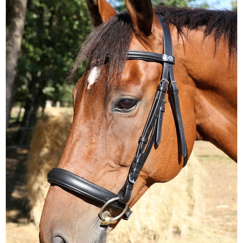 Filet cheval : Matériel d'Equitation