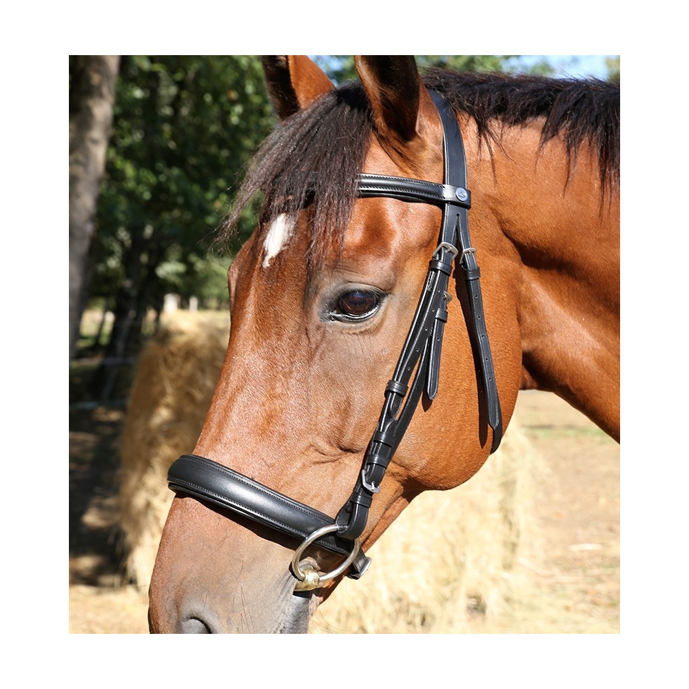 Bridon muserolle française DMH Equitation