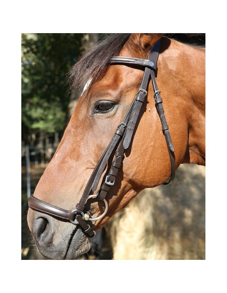 Bridon muserolle allemande DMH Equitation Havane