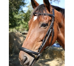 Bridon muserolle allemande DMH Equitation Noir