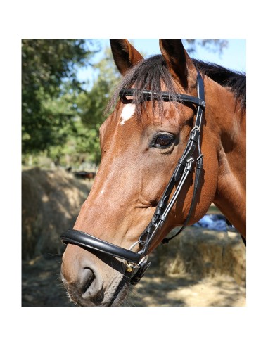 Bridon muserolle allemande DMH Equitation Noir