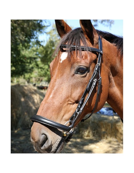 Bridon muserolle allemande DMH Equitation Noir
