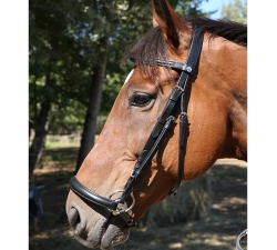 Bridon muserolle allemande cuir de buffle DMH Equitation noir