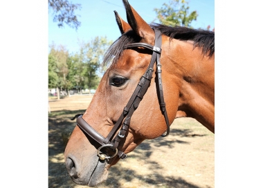 Bridon muserolle française bombée DMH Equitation