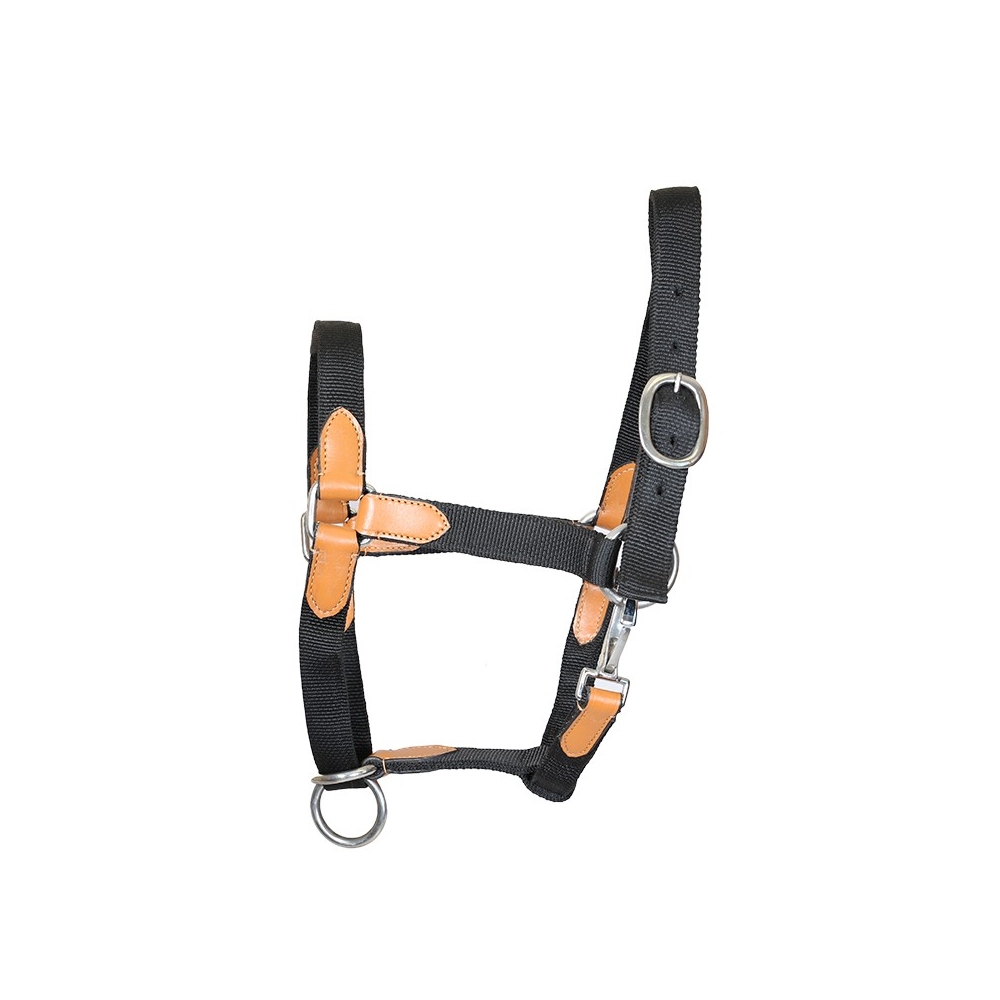 Licol Nylon Ultra par DMH Equitation