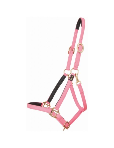TdeT Licol Biotack Rose clair