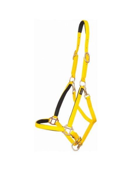 Bridon licol Biotack luxe by TDET