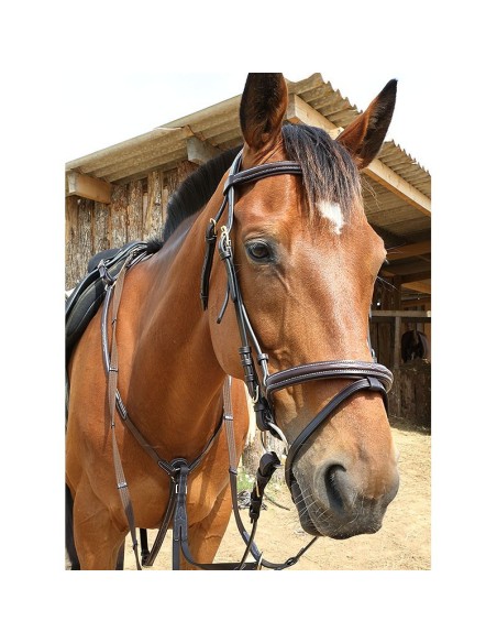 Coliier de chasse surpiqué Roma Dhm-Equitation Majestic