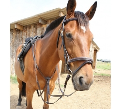 Coliier de chasse surpiqué Roma Dhm-Equitation Majestic