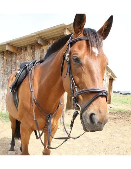 Coliier de chasse surpiqué Roma Dhm-Equitation Majestic
