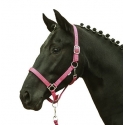 Licol cheval fluo HKM jaune orange vert bleu shetland au trait Rose