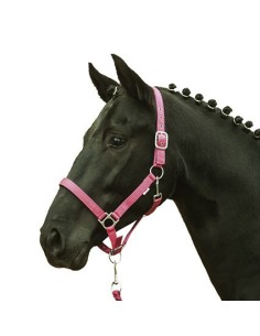 Licol cheval fluo HKM jaune orange vert bleu shetland au trait Bleu roi 2